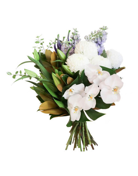 Winter Coat with Hat