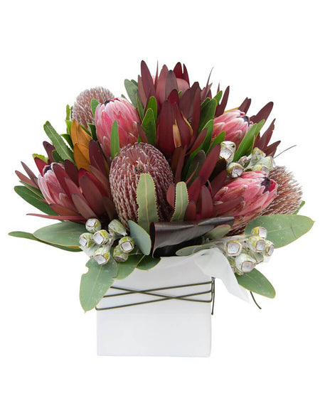 Winter Coat with Hat