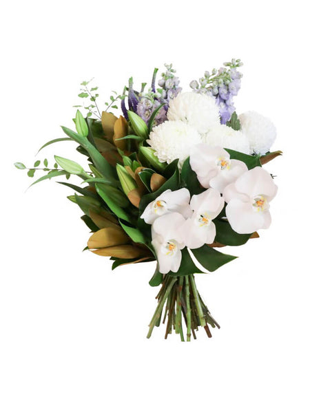 Winter Coat with Hat