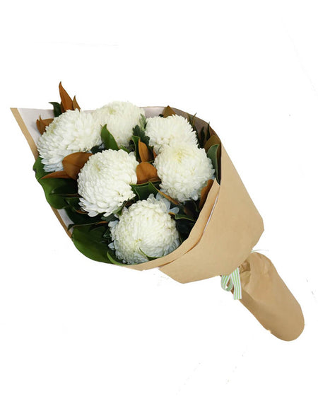 Winter Coat with Hat